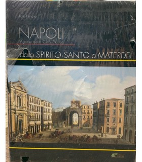 Napoli. Atlante della città storica. Dallo Spirito Santo a Materdei.