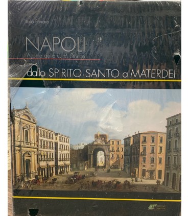 Napoli. Atlante della città storica. Dallo Spirito Santo a Materdei.