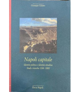 Napoli capitale. Identità politicia e identità cittadina. Studi e ricerche 1266-1860.