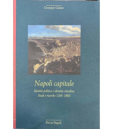 Napoli capitale. Identità politicia e identità cittadina. Studi e ricerche 1266-1860.