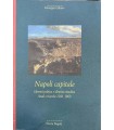 Napoli capitale. Identità politicia e identità cittadina. Studi e ricerche 1266-1860.