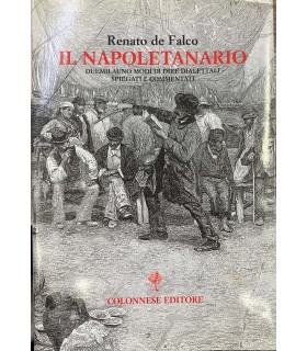 Il napoletanario.