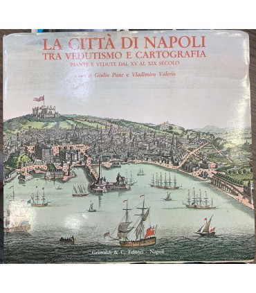 La città di Napoli ra vedutismo e cartoggrafia.