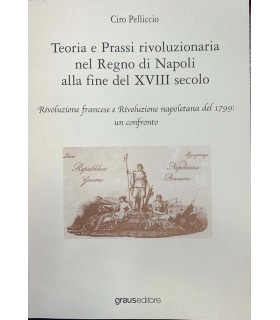 Teoria e prassi rivoluzionaria del Regno di Napoli alla fine del XVIII secolo.
