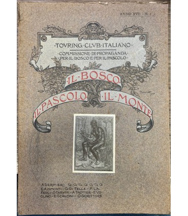 Il bosco - Il pascolo - Il monte.