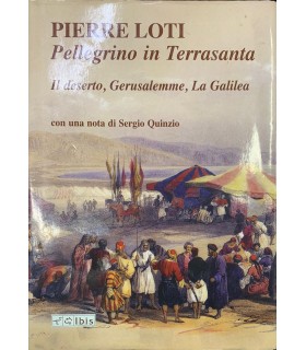 Pellegrino in Terrasanta. Il deserto, Gerusalemme, La Galilea.