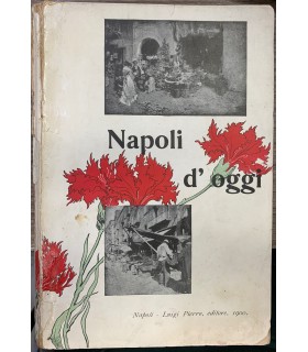 Napoli d'oggi.