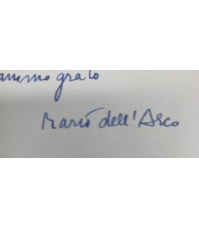 L'Apollo errante.
