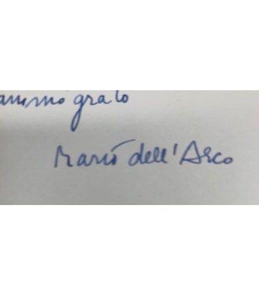 L'Apollo errante.