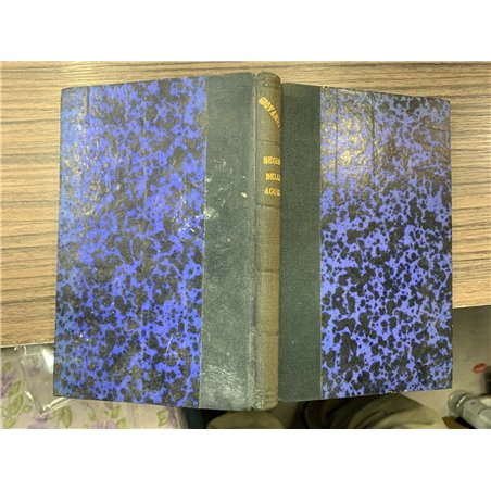 Il regime delle acque