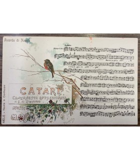 Cartolina postale Musicale - Catari'