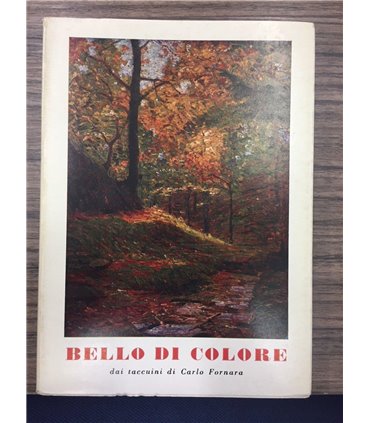 Bello di colore dai taccuini di Carlo Fornara