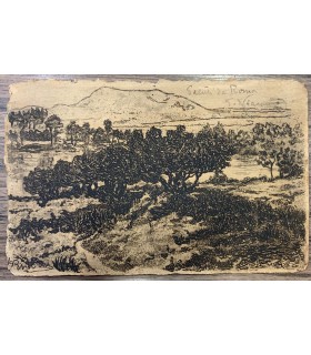 Cartolina Autografo di Salvatore Di Giacomo disegnata a China.