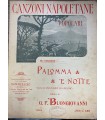 Palomma 'Notte.