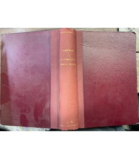 L'origine dell'uomo e la scelta in rapporto col sesso.