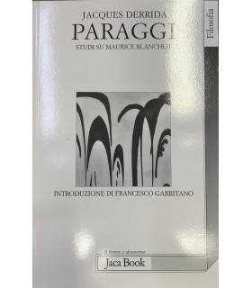 Paraggi. Studi su Maurice Blanchot.
