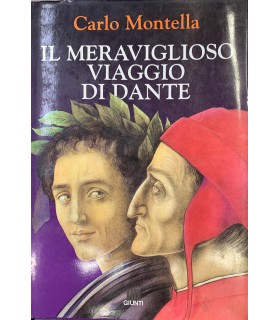 Il meraviglioso viaggio di Dante.