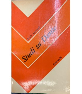 Studi su Dante.