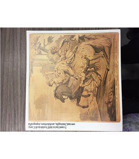 I rami incisi nell'Archivio di Corte: sovrani, battaglie, architetture, tipografia