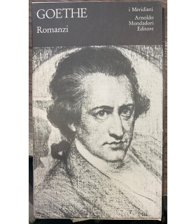 Romanzi. I meridiani.