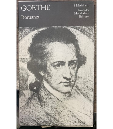 Romanzi. I meridiani.