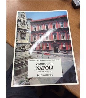 Conoscere Napoli. Storia e itinerari
