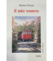 Il mio vomero.