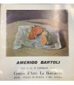 Amerigo Bartoli.