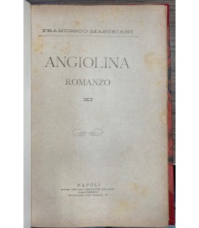 Angiolina. Romanzo.