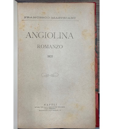 Angiolina. Romanzo.