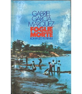 Foglie morte.