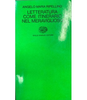Letteratura come itinerario nel meraviglioso.