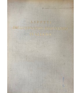 Aspetti dell'ottocento ferroviario italiano.