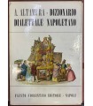 Dizionario dialettale napoletano