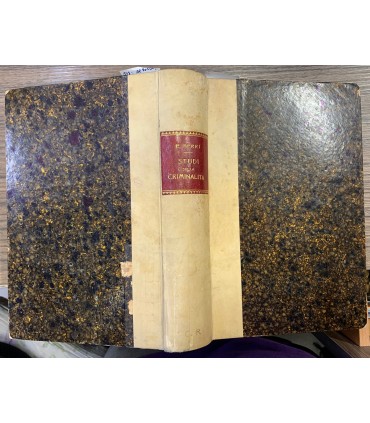 Studi sulla criminalità ed altri saggi.
