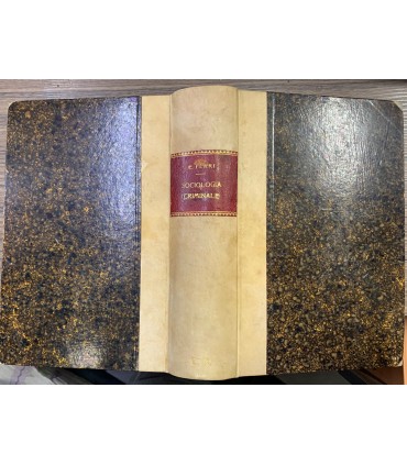 Sociologia criminale.