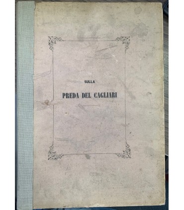 Per la intendenza generale della Rela Marina contro la compagnia Raffaele Rubattini e socii di Genova.