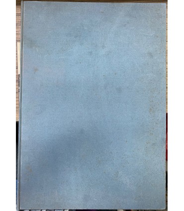 Scintilla… a Garibaldi.