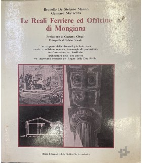 Le Reali Ferriere ed Officine di Mongiana.