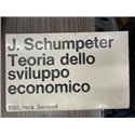 Teoria dello sviluppo economico