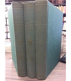 Artecatalogo dell'ottocento Vesuvio dei pittori napoletani