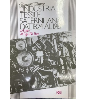 L'industria tessile salernitana dal 1824 al 1918.