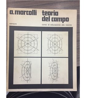Teoria del campo. Corso di educazione alla visione