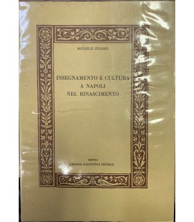 Insegnamento e cultura a Napoli nel rinascimento.