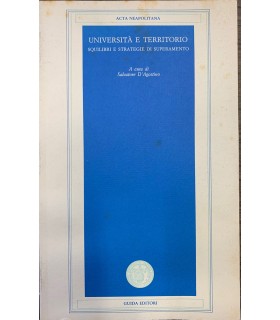Università e territorio. Squilibri e strategie di superamento.