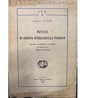 Manuale di diritto internazionale pubblico.