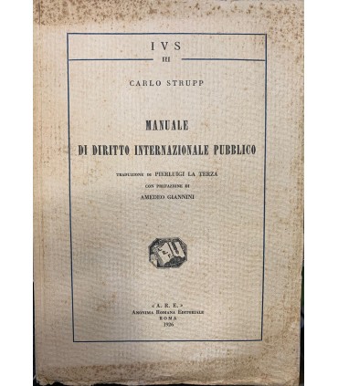 Manuale di diritto internazionale pubblico.