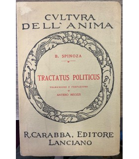 Tractatus politicus.