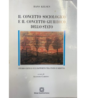 Il concetto sociologico e il concetto giuridico dello stato.