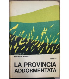 La provincia addormentata.